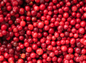 Close-up texture of cowberry berries. Natural background.