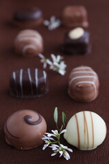  A selection of chocolate candies on a dark brown background, minimalist composition.