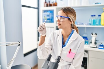 Young hispanic woman scientist holding plant sample with tweezer at laboratory
