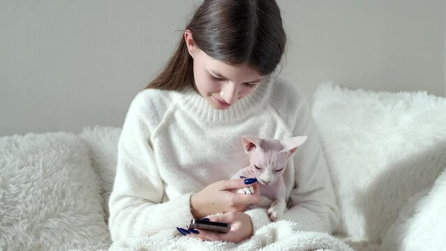 Smiling teenage girl in white jamper stroking a cat and using smartphone close-up. Bald pedigreed sphinx cat relaxes and purrs.