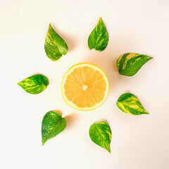 orange with leaf like flower on bright white background. minimal summer creative composition.