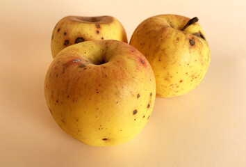 Rotten apple. Decay and food waste concept with photograph of unhealthy decayed bad apple isolated on background.