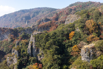 Fototapeta premium 日本の香川県小豆島のとても美しい秋の紅葉