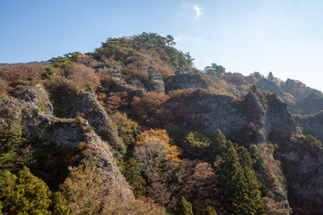 日本の香川県小豆島のとても美しい秋の紅葉