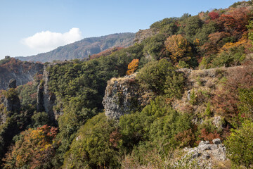 Obraz premium 日本の香川県小豆島のとても美しい秋の紅葉