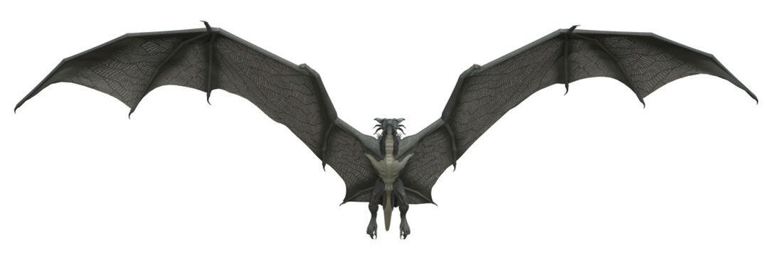 3D Rendered Fantasy Dragon Isolated on Transparent Background - 3D Illustration
