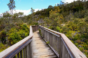 Fototapeta na wymiar Wooden boardwalk on the Sulphur Banks trail in the Kilauea crater in the Hawaiian Volcanoes National Park on the Big Island of Hawai'i in the Pacific Ocean