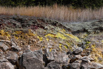 Sulphur rock unveiled by a landslide seen on the Sulphur Banks trail in the Kilauea crater in the...