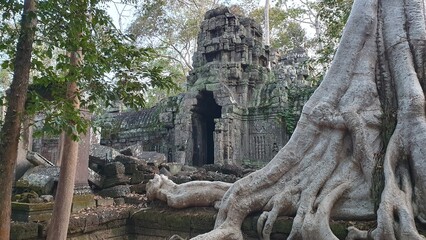Fototapeta na wymiar Ta Nei is a late 12th century stone temple in Angkor, Cambodia. Built during the reign of King Jayavarman VII, it is near the northwest corner of the East Baray, a large holy reservoir. 