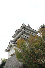 Fototapeta premium 忍城（おしじょう）天守閣
