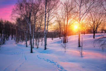 Red sunset in winter forest