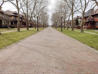 cobblestone street of an historic neighborhood in detroit