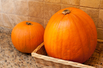 Fall or autumn pumpkins