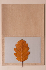 autumn leaf isolated on blank cards