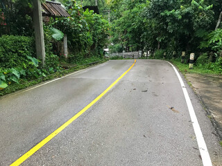 road in the forest