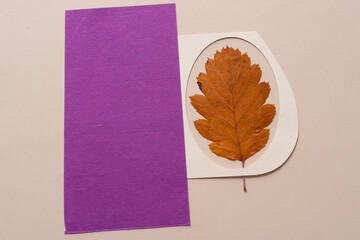 autumn leaf and oval paper with blank purple paper