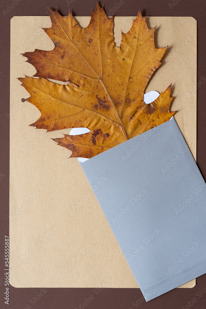 Wall mural autumn oak leaf and envelope