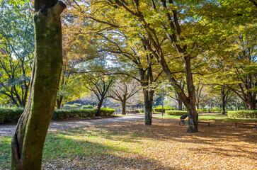 東京の和田堀公園