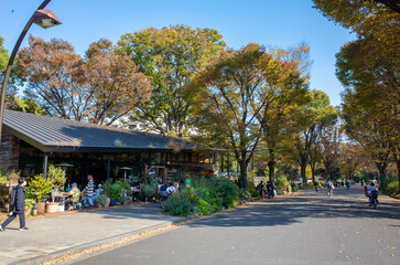 駒沢オリンピック公園