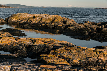 boulders on the shore