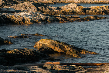 boulders on the shore