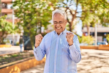Senior man standing with cheerful expression at park