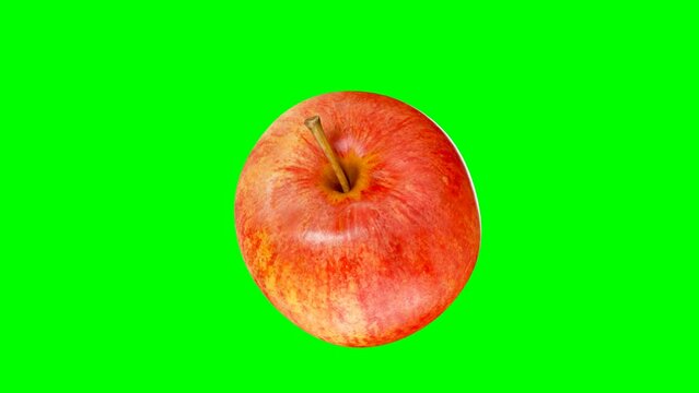 Fresh Apple Spinning on greenscreen background. Looping spinning Apple, Realisitc 3d Rendering