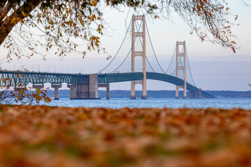 Michigan in Autumn