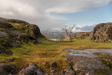 landscape of Christmas Hill, Vancouver Island