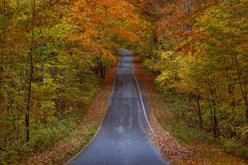 Fototapeta na wymiar Michigan in Autumn