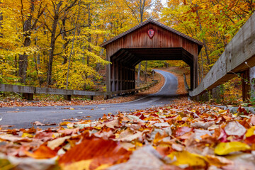 Michigan in Autumn