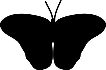 Butterfly vector icon illustration on white background.