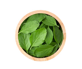  Basil leaves in wood bowl isolated on transparent png