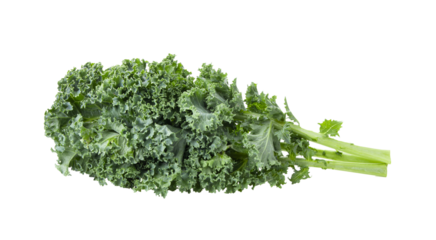 Kale leaves isolated on transparent png
