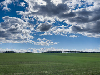 Fototapeta na wymiar Sun, clouds and a vast meadow