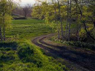 Farm road leading to the fields
