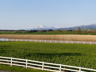 Overlooking spring pastures, fields and mountains