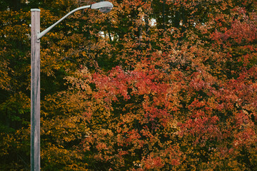 street lamp in the park