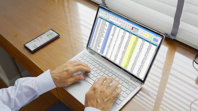 Data Analyst Man Using Spreadsheet