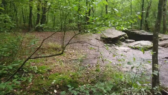 Balade en for&ecirc;t jusqu'&agrave; un tumulus