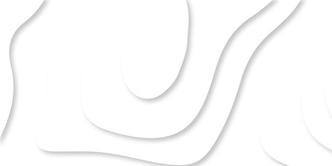 abstract Luxury paper cut background, Abstract decoration, white pattern lines gradients, 3d Vector illustration, topographic canyon map light relief texture, curved layers.