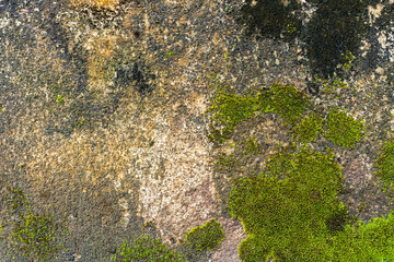 Authentic stone element abstract background. High resolution and quality. All natural patterns, no man made. Very good use for 3D skin and materials library.