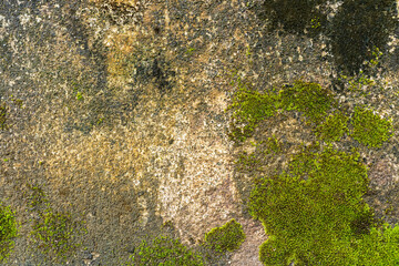Authentic stone element abstract background. High resolution and quality. All natural patterns, no man made. Very good use for 3D skin and materials library.
