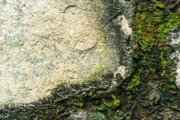 Authentic stone element abstract background. High resolution and quality. All natural patterns, no man made. Very good use for 3D skin and materials library.