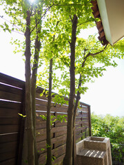 南欧風アーチ扉のある中庭　おしゃれなウッドフェンスにテラコッタの床のパティオ　ヤマボウシの木と新緑の季節