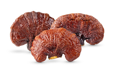 Lingzhi Mushroom isolated on transparent png