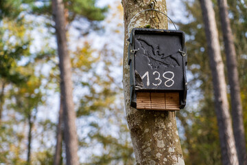 Vulkan Krater im Donaubergland