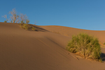 Giant sand dune on a summer day