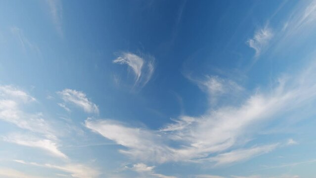 White cirrus clouds and blue colors sky. Weather was very hot in the evening. Tropical summer sunlight. Timelapse.