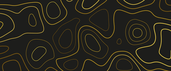 Topography relief. Topographic illustration. Abstract paper cut style design. Geometric layered curve line black, gold vector, realistic papercut decoration textured with wavy layers.